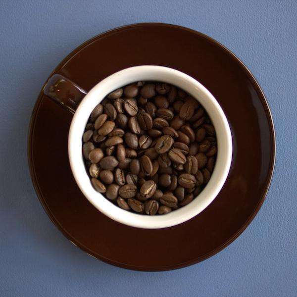 Kona Blend coffee beans in brown cup and saucer on blue background.